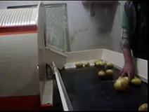 PATATES YIKAMA MAKİNASI